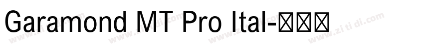 Garamond MT Pro Ital字体转换